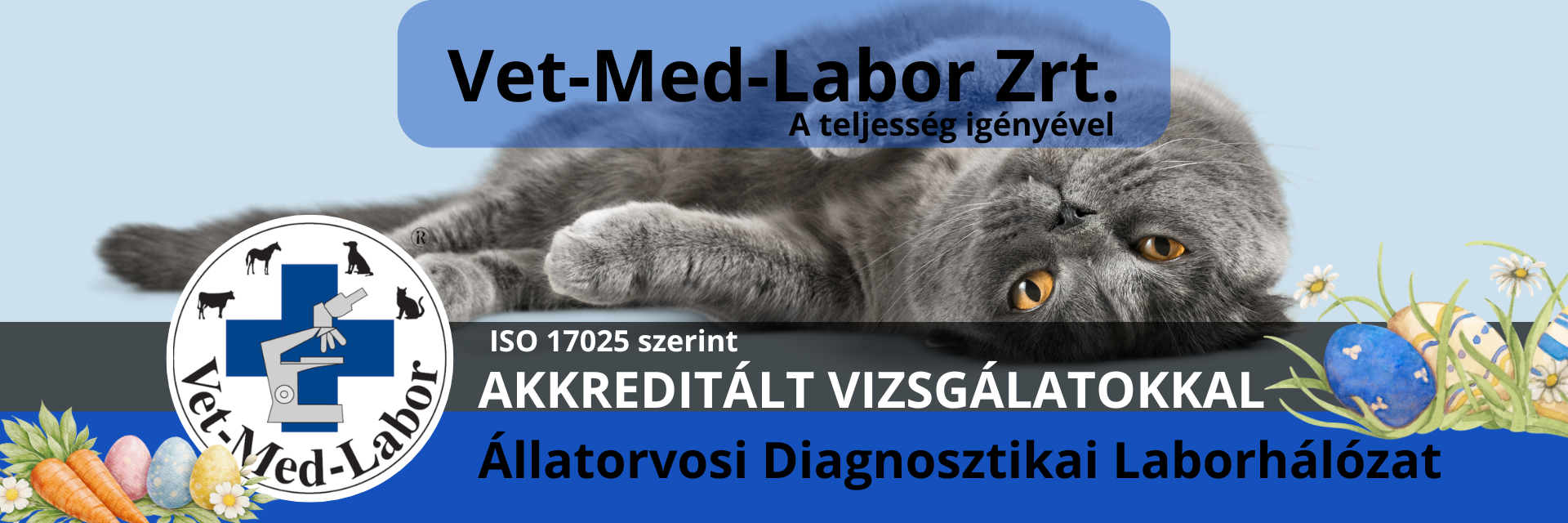 vetmedlabor-masolata-1