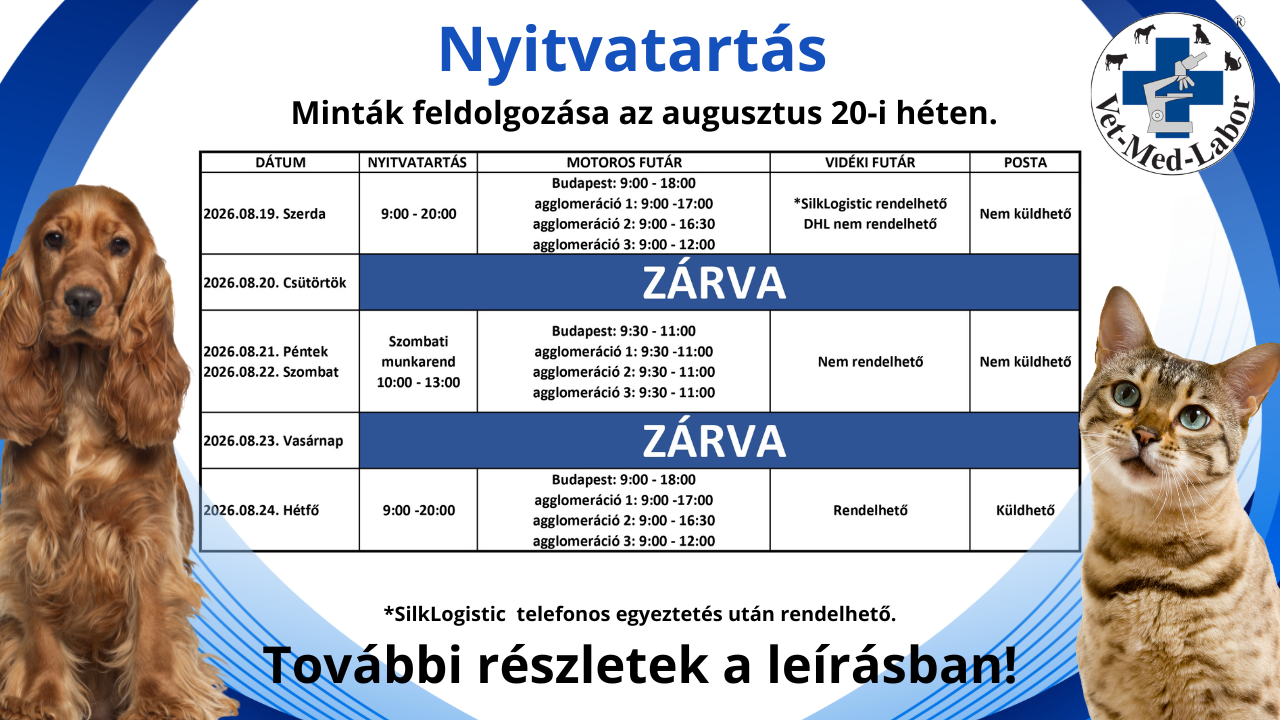 NYITVATARTAS-Augusztus-20